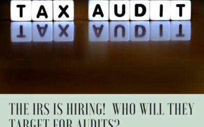 Will the IRS target small businesses for audit?