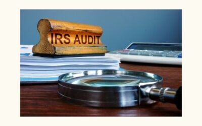 Who gets audited?