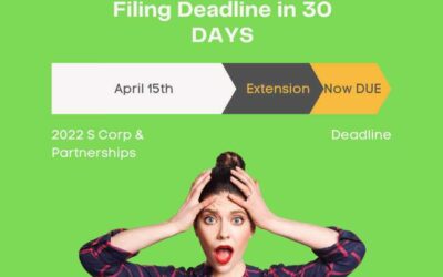 The 2022 S Corp and Partnership Tax Return filing deadline is in 30 days